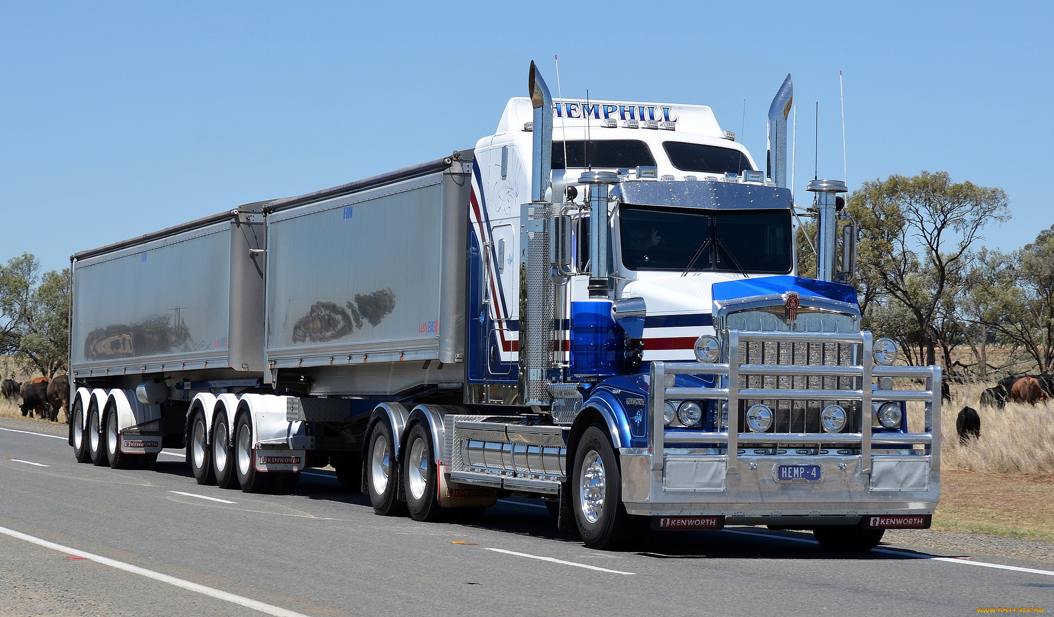 kenworth, , truck, company, , , 